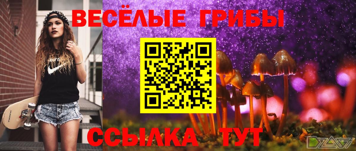 Галлюциногенные грибы Psilocybe Надым