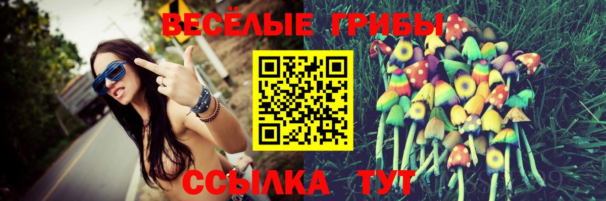 Псилоцибиновые грибы GOLDEN TEACHER  Псилоцибиновые грибы мицелий  Вход с VPN  Надым 
